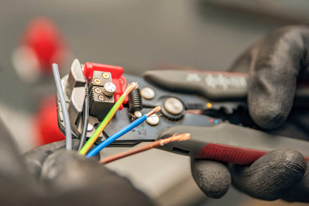 Best Affordable Electrician  in Lake Hamilton, FL