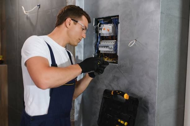 Best Electric Panel Repair  in Lake Hamilton, FL